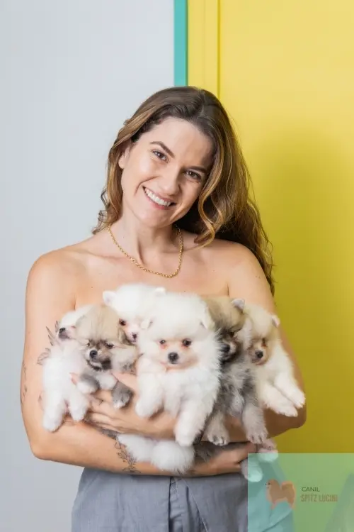 Domingo da Familia